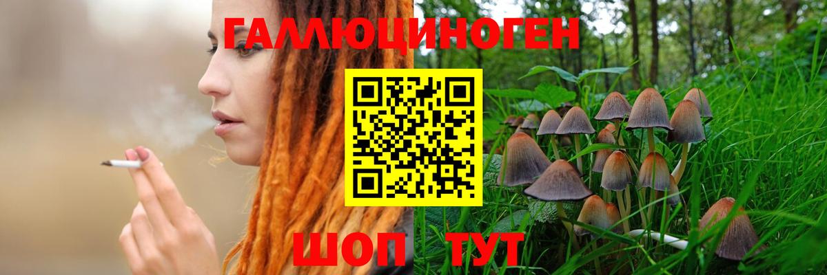 Новосибирск  Псилоцибиновые грибы мицелий  Вход с VPN 