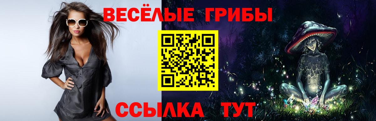 Псилоцибиновые грибы прущие грибы Новосибирск